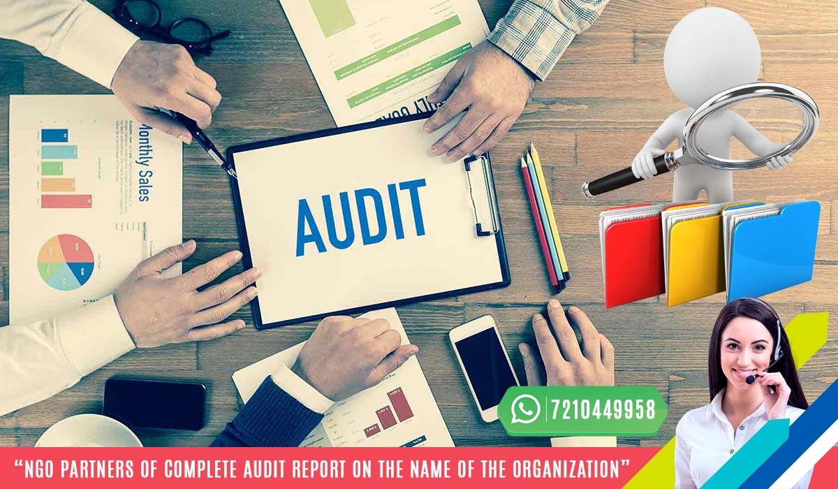 NGOPartnerAuditReport